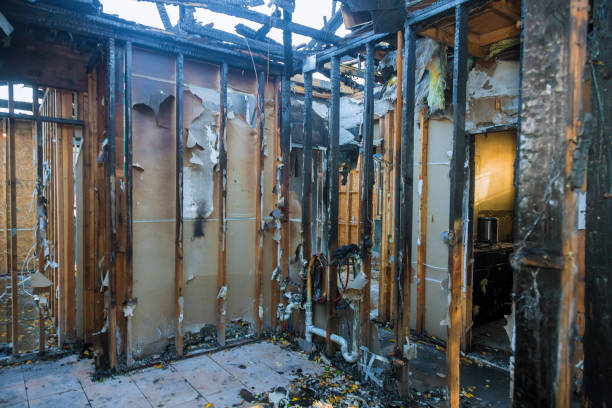 Professional Fire Damage Repair technician working in Safety Harbor, FL