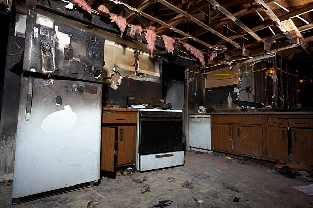 Licensed Fire Damage Repair service in Safety Harbor, FL - Fire Damage Laser Cleaning